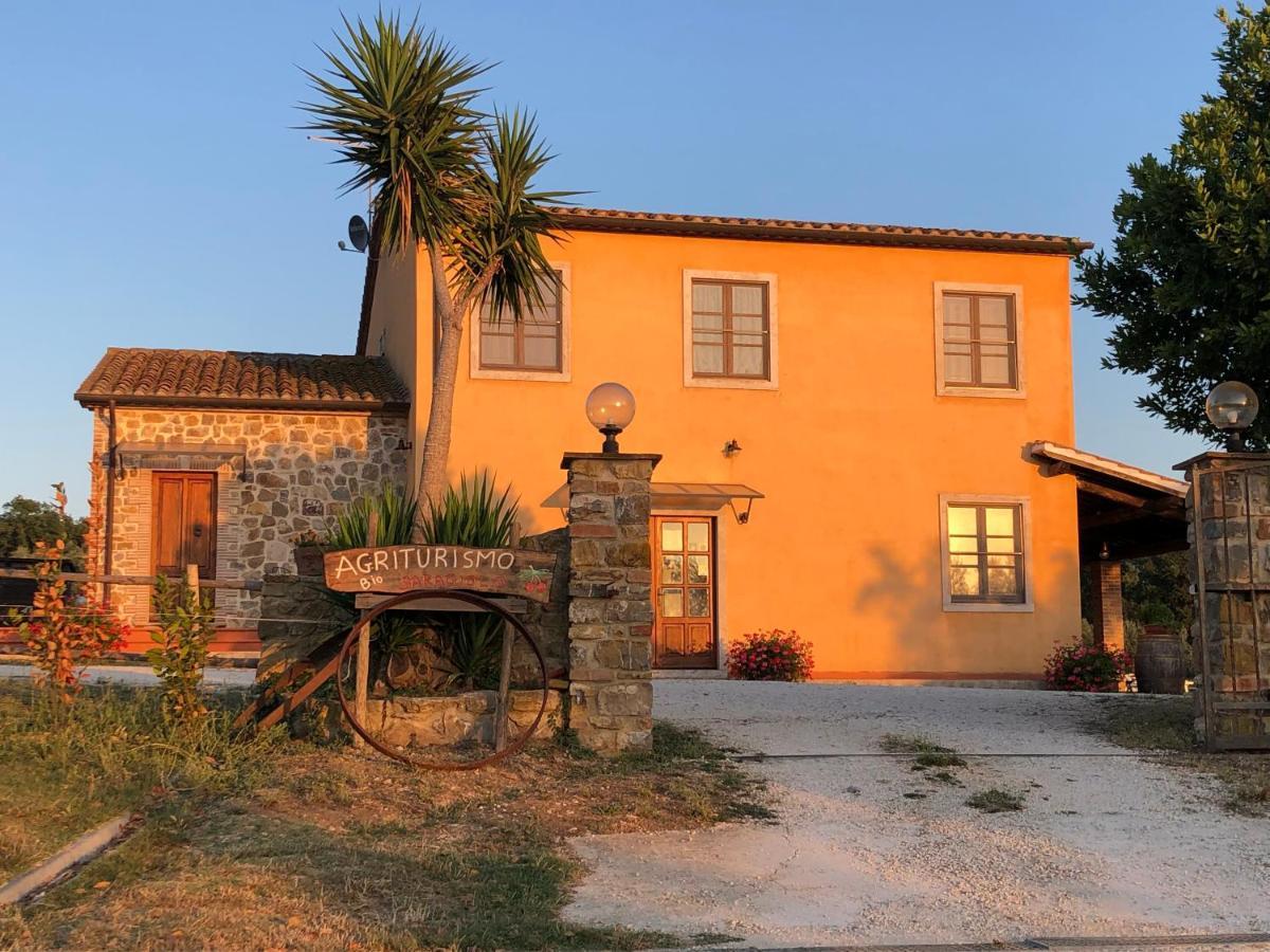 Agriturismo Il Saragiolo Villa Montemerano Kültér fotó